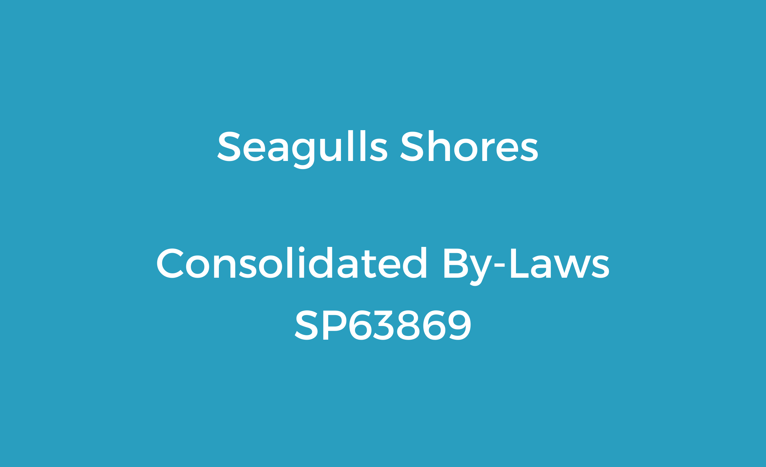 Consolidated By-Laws SP63869